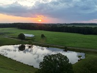 345 Acre Franklin County, AL Tu : Haleyville : Franklin County : Alabama