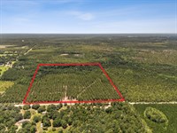 Bray Tract Lot 3 Bordered by Forest : Hilliard : Nassau County : Florida