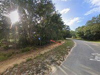 Lot in Interlachen, Just $186/Mo : Interlachen : Putnam County : Florida