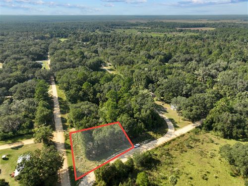 Live Near Lake Life, $270/Month : Interlachen : Putnam County : Florida