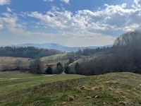 110 Acre Cattle Farm in Elk Creek : Elk Creek : Grayson County : Virginia