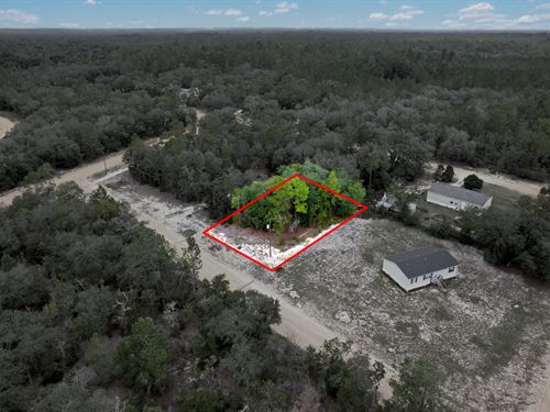 Mobile Life Made Easy, $205/Mo : Interlachen : Putnam County : Florida