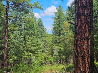 H12 Santa Fe Trail Ranch : Trinidad : Las Animas County : Colorado