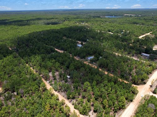 4 Lots Package, $499/Mo Financing : Interlachen : Putnam County : Florida