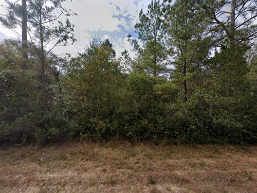 .43 Acre Lot in Interlachen FL : Interlachen : Putnam County : Florida