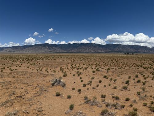 Endless Potential Clear, Flat Land : Belen : Valencia County : New Mexico