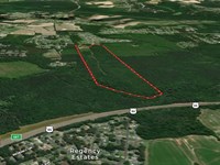 54.32Ac, 1202 Willow Brook Road : Nashville : Nash County : North Carolina