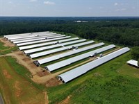 Morven Pines 12 House Broiler Farm : Morven : Anson County : North Carolina