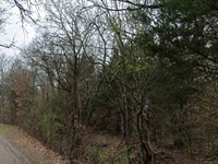 2.53 Acre Lot in Grandview, TX : Grandview : Johnson County : Texas