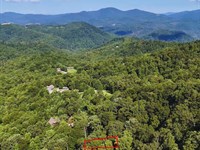 .24 Acre Lot in Hendersonville, NC : Hendersonville : Henderson County : North Carolina