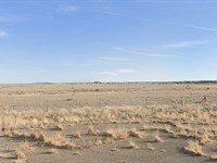 1.21 Acre in The Open Desert : Moriarty : Torrance County : New Mexico