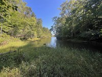 30.35 Acres of Waterfront Land : Pittsville : Pittsylvania County : Virginia
