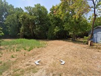 .11 Acre Wooded Lot : Wills Point : Van Zandt County : Texas