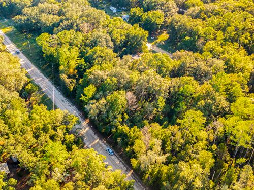 Shaded Lot in Interlachen : Interlachen : Putnam County : Florida