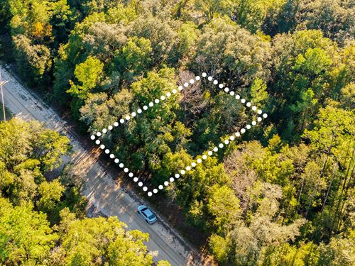 No HOA, Near Lake, $1 Down : Interlachen : Putnam County : Florida