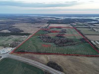 155 Acre Industrial, Commercial : Courtland : Lawrence County : Alabama