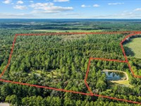 125 Ac Land For Sale in Camden : Woodbine : Camden County : Georgia