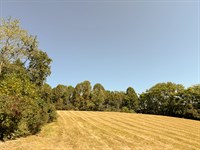 Tract 7 at Wolf Hill Estates : McArthur : Vinton County : Ohio