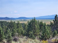 1.62 Acres Near Established Homes : Chiloquin : Klamath County : Oregon