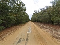 Simple, Peaceful, and Affordable : Interlachen : Putnam County : Florida