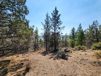 Mountain Views & Power Ready : Sprague River : Klamath County : Oregon