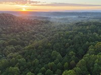 86 Acres Morgan County Homestea : Hartselle : Morgan County : Alabama