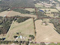 Morgan County Cattle Farm Tract 1 : Danville : Morgan County : Alabama