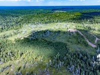 432 Ac Apalachicola River High Bluf : Bristol : Liberty County : Florida