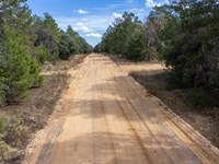 Peaceful Setting with Easy Access : Interlachen : Putnam County : Florida