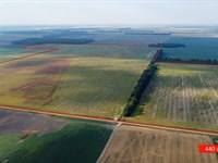 440 Acres of Agricultural Row Crop : East Prairie : Mississippi County : Missouri