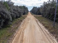 Affordable Florida Living Awaits : Interlachen : Putnam County : Florida