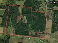 Exceptional Development Opportunity : Bell Buckle : Rutherford County : Tennessee