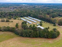 3 House Tyson Spike Farm : Carthage : Leake County : Mississippi