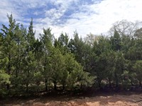 Build Dreams Not Sandcastles : Defuniak Springs : Walton County : Florida