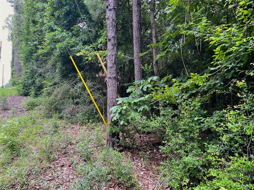 Secure Your Wealth Near Houston, TX : Woodville : Tyler County : Texas