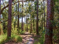 Drawdy Road Recreational : Plant City : Hillsborough County : Florida