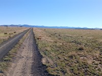 Build Your Dream Home : Concho : Apache County : Arizona