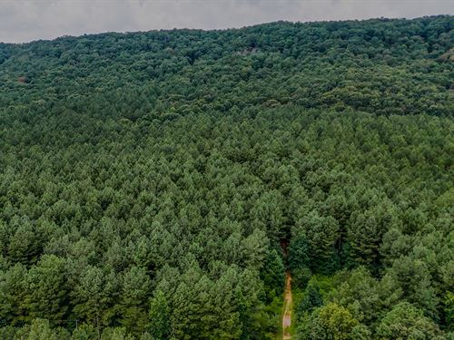 Back Valley Tract 3 : Lyerly : Chattooga County : Georgia