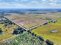 Turn-Key Agri-Estate : Arcadia : DeSoto County : Florida