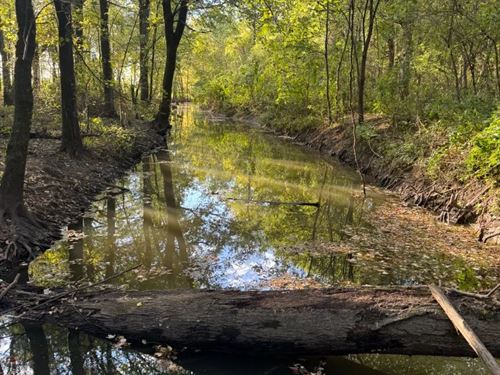 89 Acres in Jackson County, AR : Beedeville : Jackson County : Arkansas