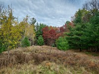 Affordable Land Near Town Corner LA : Beecher : Marinette County : Wisconsin