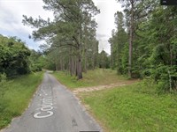 Unrestricted Vacant Land : Bay Springs : Jasper County : Mississippi