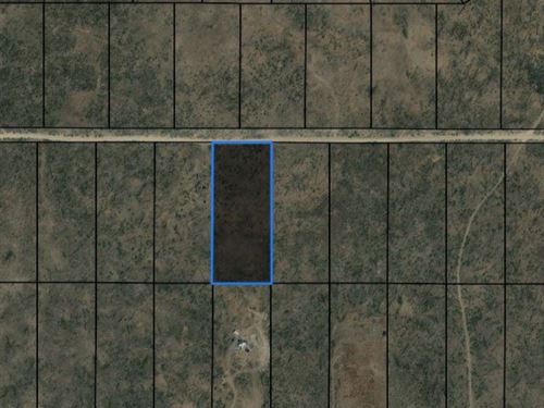 Forest Acreage in Oregon : Sprague River : Klamath County : Oregon