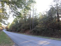 Country Living, Home Site, Timber : Marbury : Autauga County : Alabama