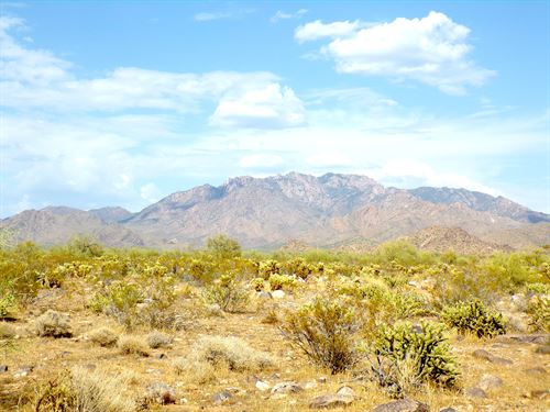 Private 2.35 Acre Arizona Getaway : Yucca : Mohave County : Arizona