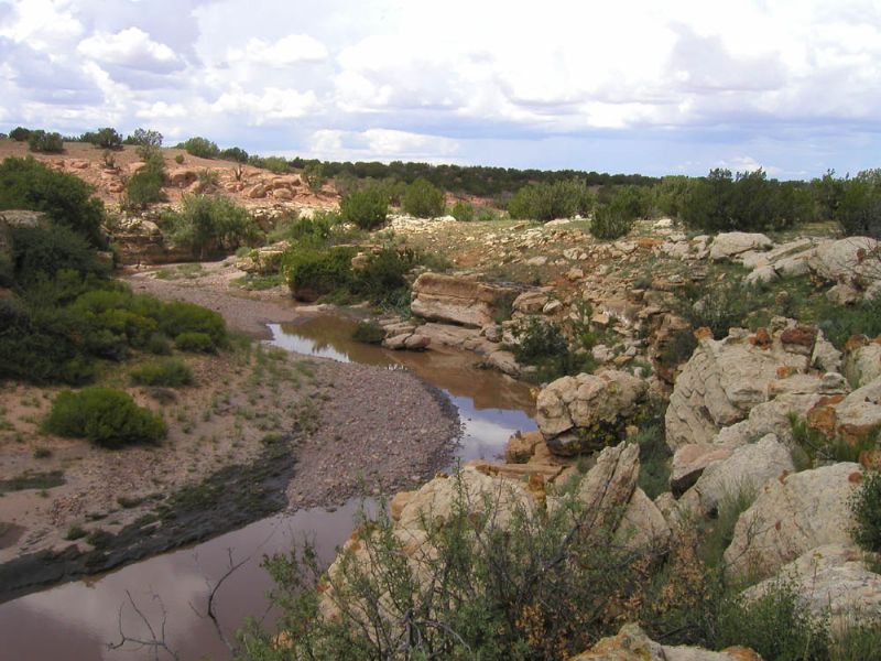 Chevelon Canyon Ranch : Heber-Overgaard : Navajo County : Arizona