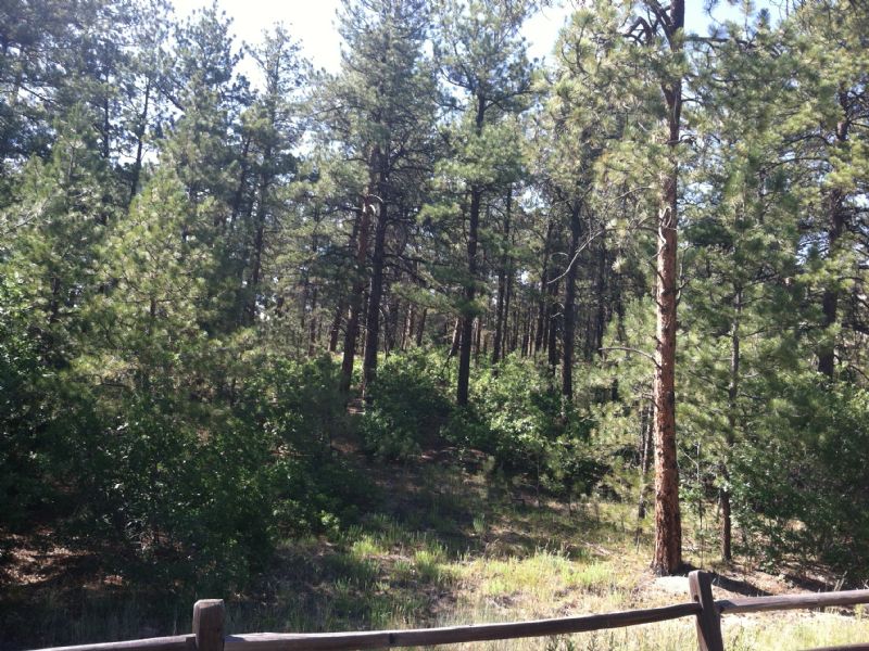 Bear Dance Golf Club, Land for Sale in Colorado, #64067 : Buy Land for  Sale, Find Lots, Acreage & Vacant Land