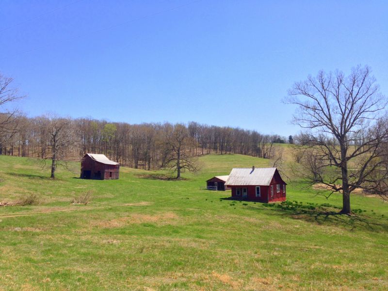 125 Acres with Pasture/ponds : Slayden : Dickson County : Tennessee