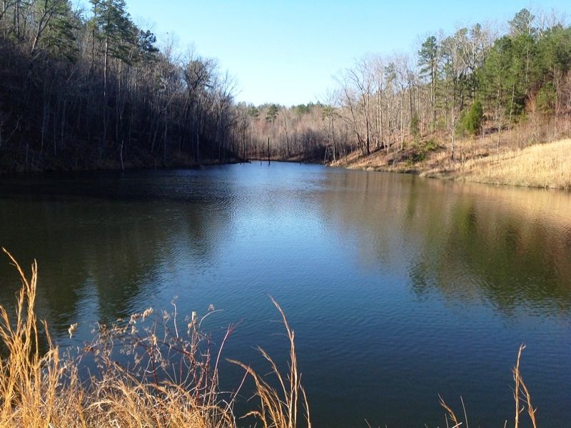 Recreational Mountain Homesite : Land for Sale in Rockmart, Polk County ...