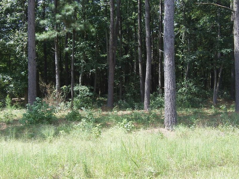 Deep Lake Farms, 5.63 Acre Lot : Shady Dale : Jasper County : Georgia